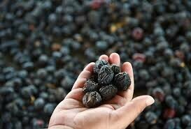 Benefits of Ajwa date seed powder and recipe to make at home