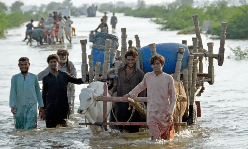 We&rsquo;ve gone back 50 years: Pakistan farmers count flood damage
