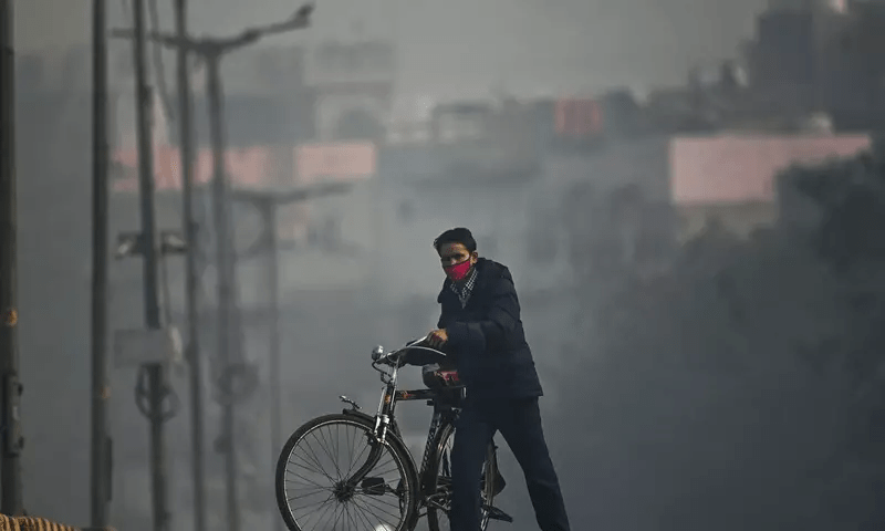 Heatwaves and wildfires to worsen air pollution: UN