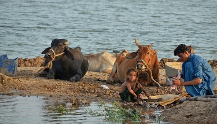 Floods inflict $12 bn loss on Pakistan&rsquo;s economy - report