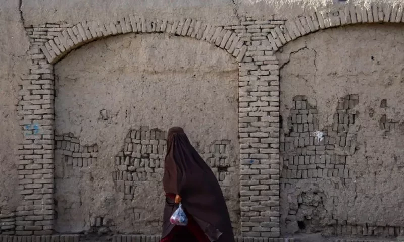 UN accuses Taliban of harassing female staff in Afghanistan