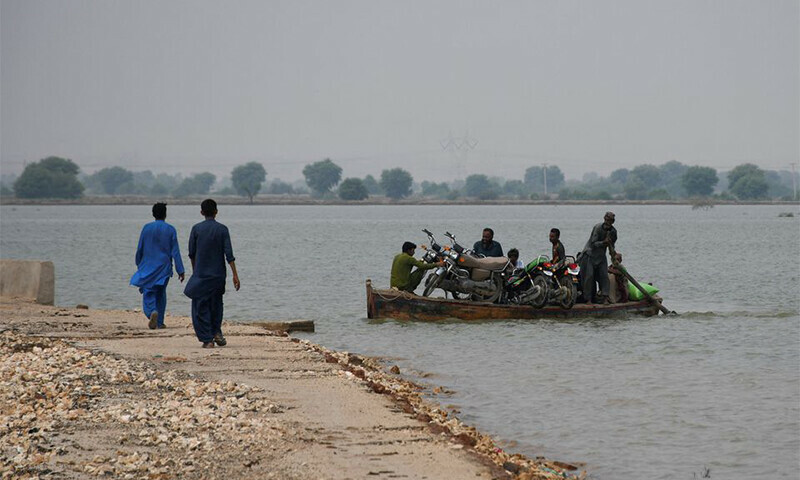 Fodder dries up for cattle as floodwaters stay high