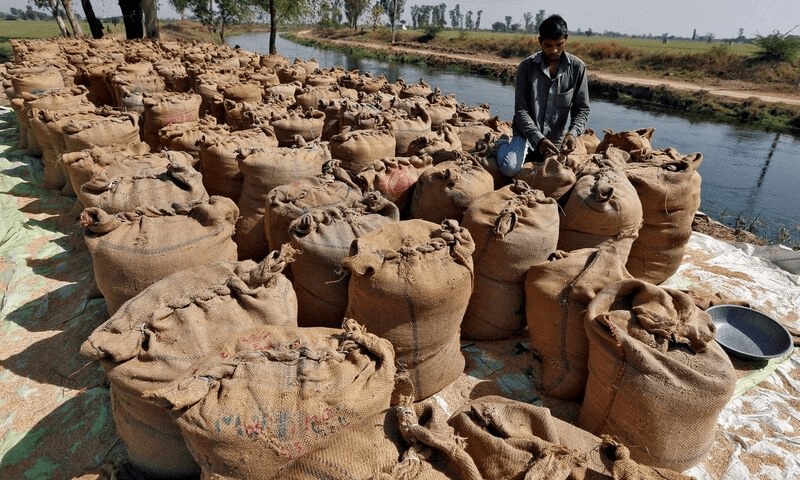India&rsquo;s rice exports set to fall 25% as levy make shipments expensive