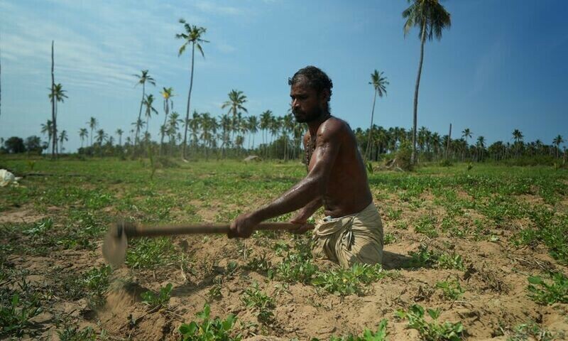 Sri Lanka&rsquo;s crisis pushes war-shattered Tamils to the brink