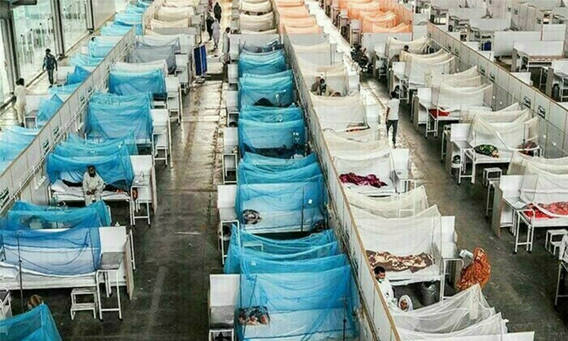 Dengue outbreak getting worse in Karachi as 403 cases reported in 24 hours