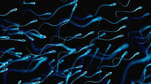 Sperm-coating jab for men could ease family planning for women