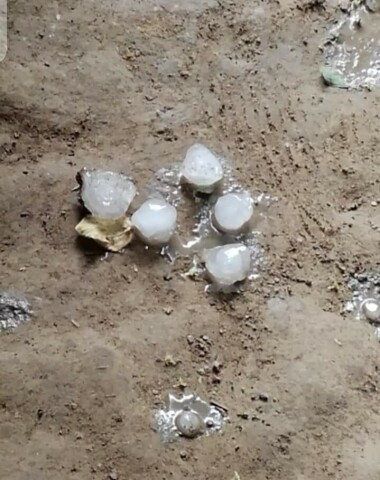 Video: It&rsquo;s raining hailstones in Dera Ismail Khan