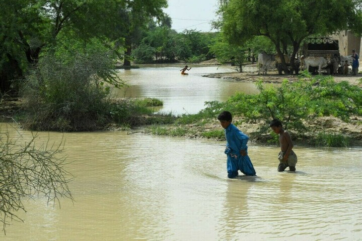 Sindh reports majority deaths as flood death toll at 1,545
