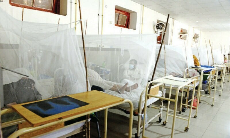Dengue cases in Islamabad on the rise