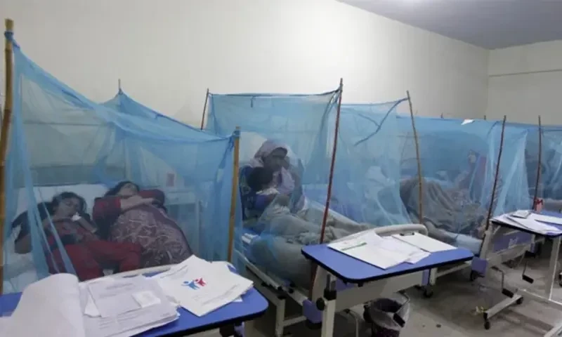 New dengue variant hits Lahore
