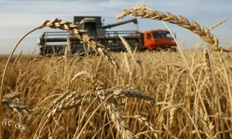 Pakistan made no purchase in 300,000-tonne wheat tender: traders
