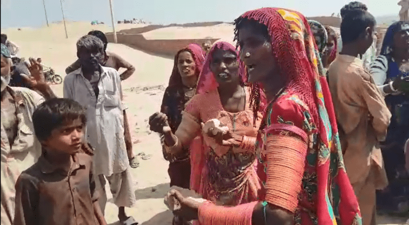 Floods survivors arm themselves with stones