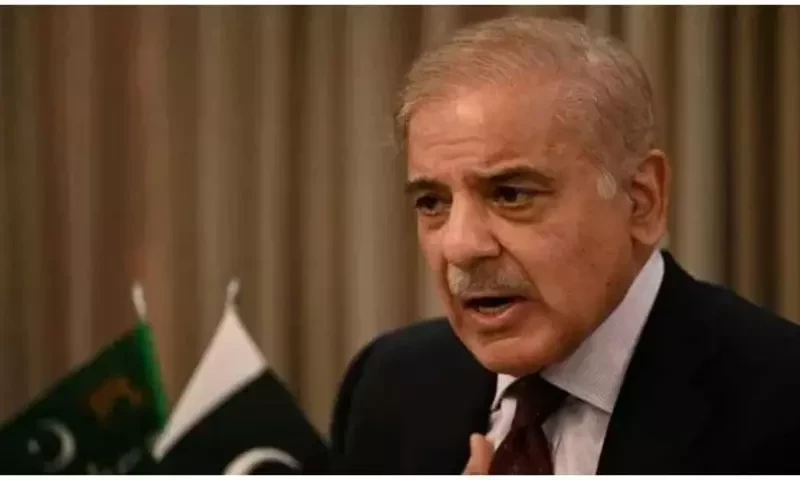 Foreign leaders call Imran Khan rude, liar and narcissist: PM Shehbaz