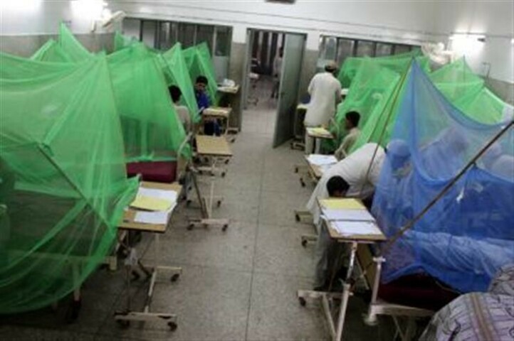 Dengue infects 296 more across Pakistan