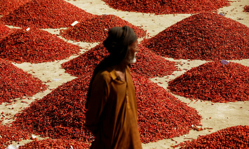First heat, then floods wipe out farms in Pakistan&rsquo;s chilli capital