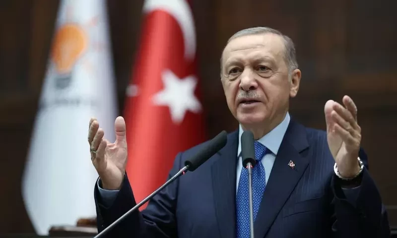 Erdogan moots putting Turkey headscarf reform to referendum