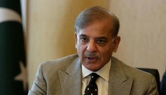 PM Shehbaz highlights Pakistan&rsquo;s climate change risks at COP27 summit