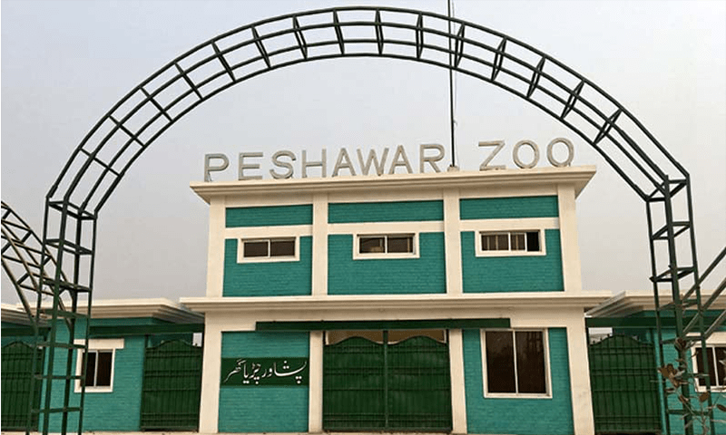 Peshawar Zoo to let public adopt animals