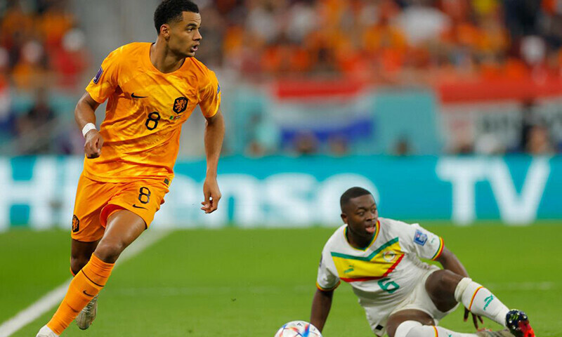 Netherlands strike late to beat Senegal on World Cup return