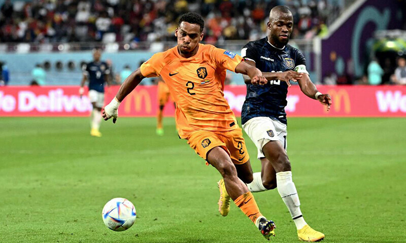 Hosts Qatar crash out of World Cup after Dutch held by Ecuador