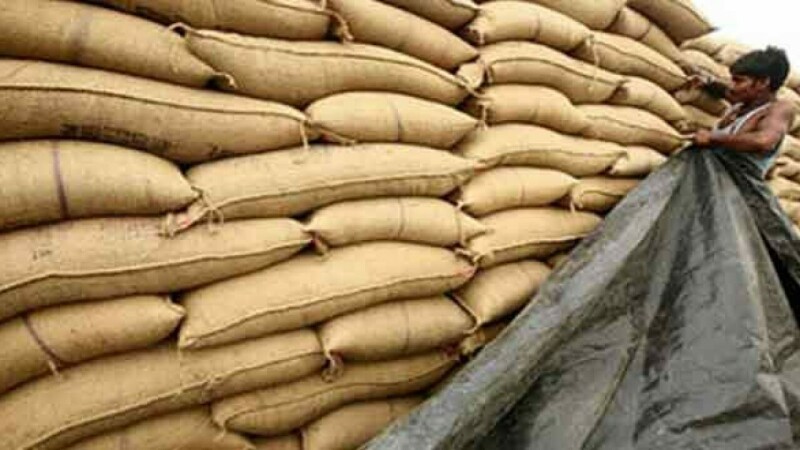 ECC approves bids for 580,000 MT wheat imports