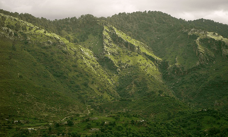 Islamabad turns hiking trail into leopard reservation