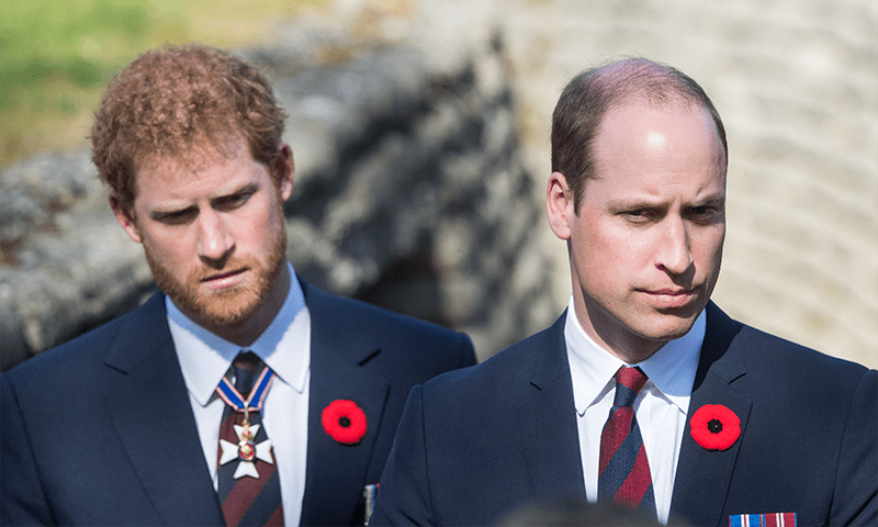&lsquo;Gloves off&rsquo; as Prince Harry takes aim at brother in Netflix series