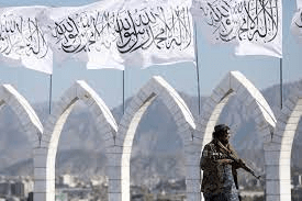 Taliban orders NGOs to ban female employees from coming to work