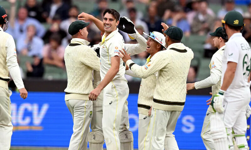 Australia thrash South Africa to win 2nd Test and series