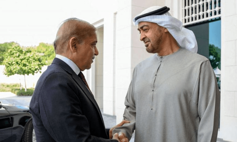 PM Shehbaz, UAE president vow to enhance bilateral cooperation