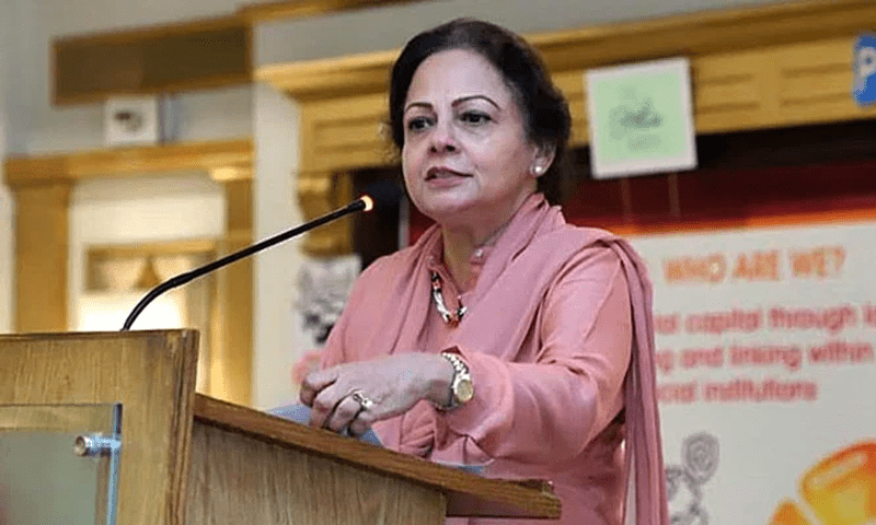 Govt &lsquo;successfully&rsquo; avoided default, minister claims