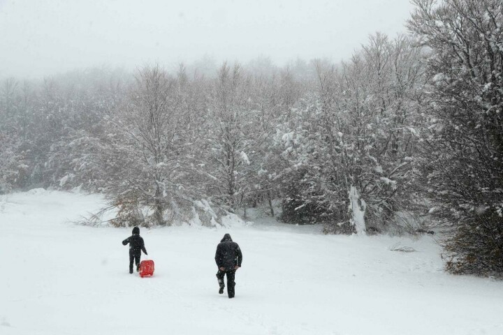 Brisk daily walk could reduce heart disease 17%: study