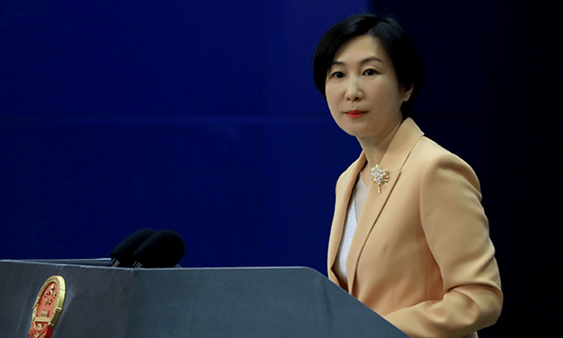 A certain country is behind Pakistan&rsquo;s economy woes, says China