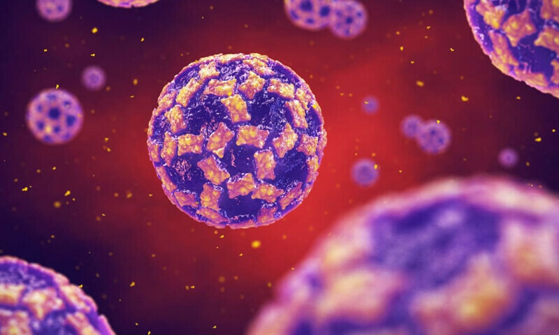 All you need to know about &lsquo;Norovirus&rsquo; as it hits India