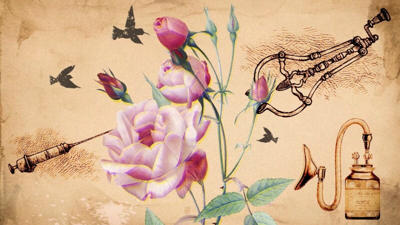 Soul searching in trans bodies