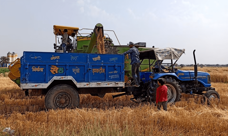 Weather threatens Indian winter crops just before harvesting