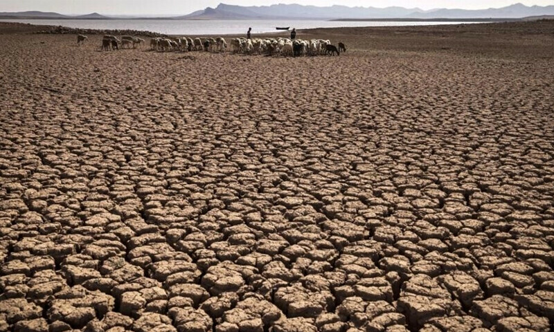 UN warns &lsquo;vampiric&rsquo; water use leading to &lsquo;imminent&rsquo; global crisis