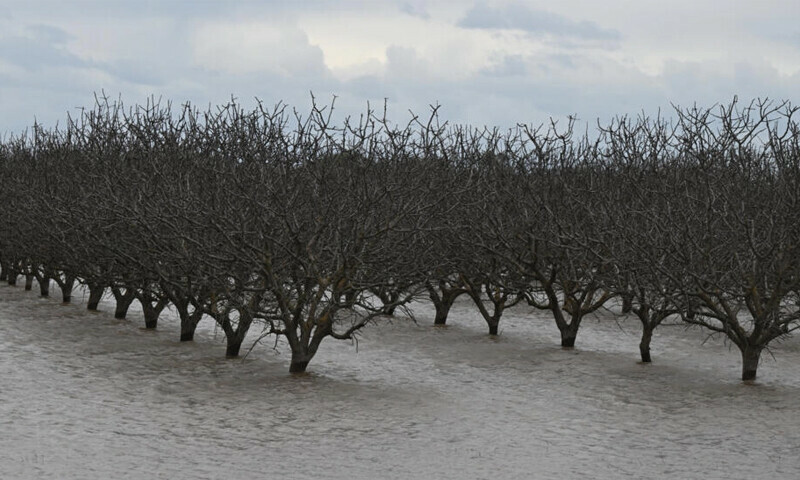 Ghost lake set to reappear as California hit again by rain