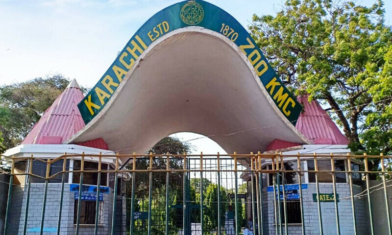 Karachi Zoo animals starve for second consecutive day amid fight over money
