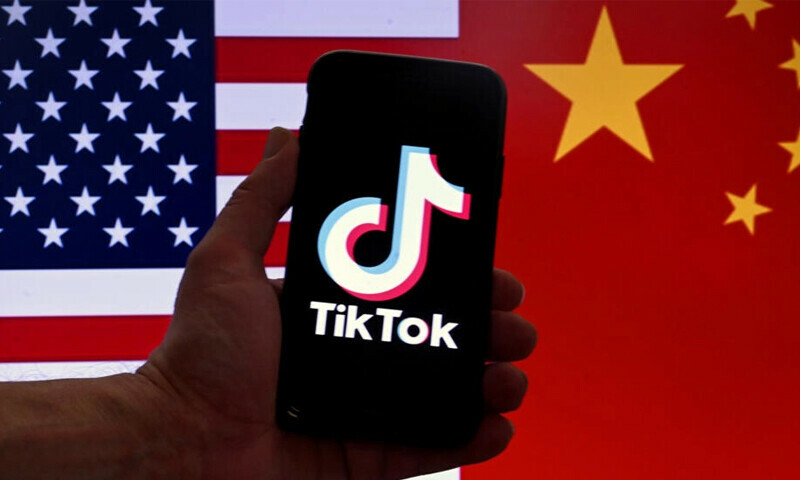 China says does not ask firms for foreign data as TikTok row grows