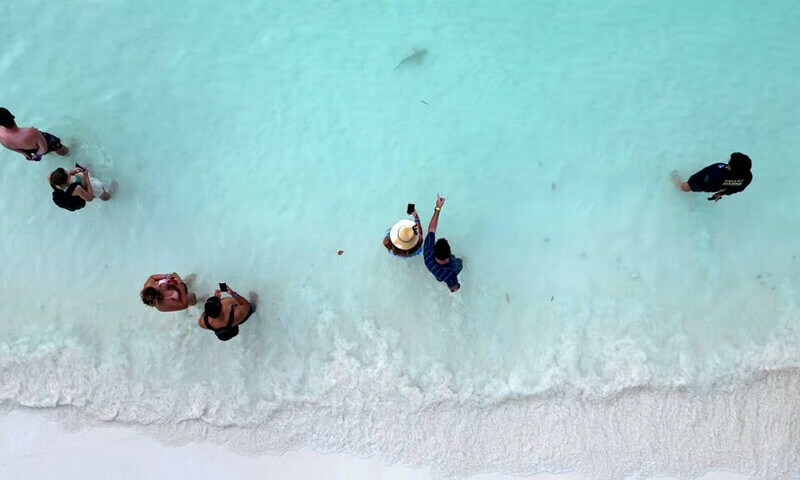 Sharks, tourists jostle for space around Thai destination island