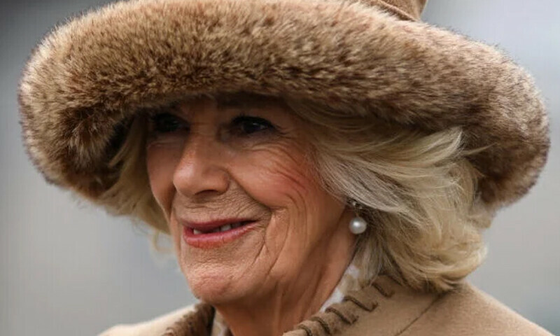 UK&rsquo;s Queen consort Camilla: from palace margins to royal limelight