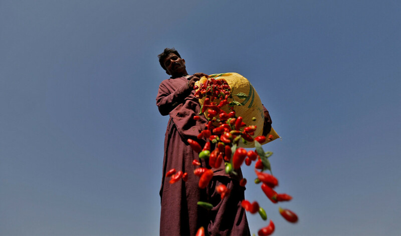 Punjab can&rsquo;t just give Pakistan Army 45,000 acres, says petition