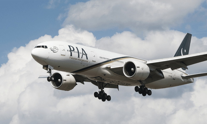 All PIA pilots want to quit, Senate committee told