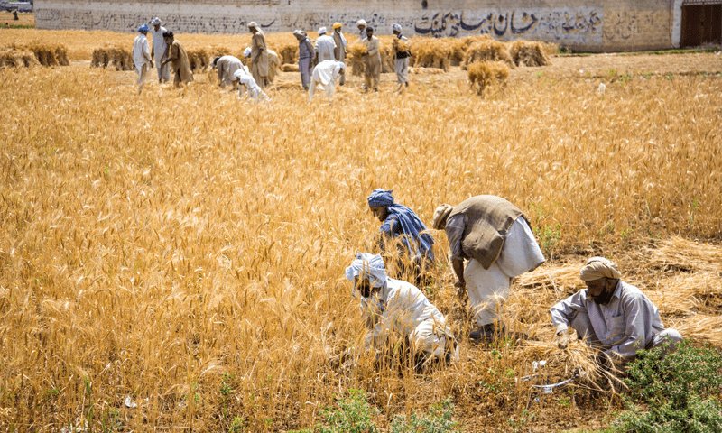 Kissan Ittehad calls on army chief to &lsquo;save agriculture&rsquo;