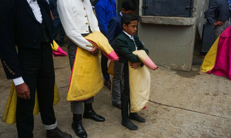 &lsquo;Look brave&rsquo;: Children taught bullfighting at Venezuelan torero school