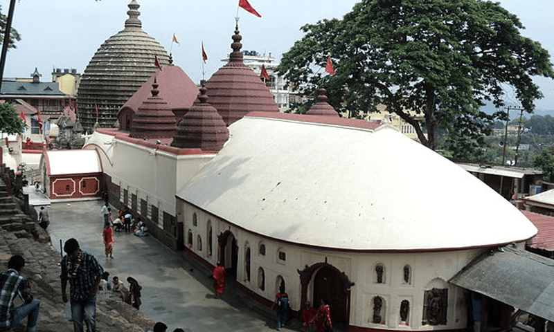 Indian police arrests 5 people for alleged human sacrifice