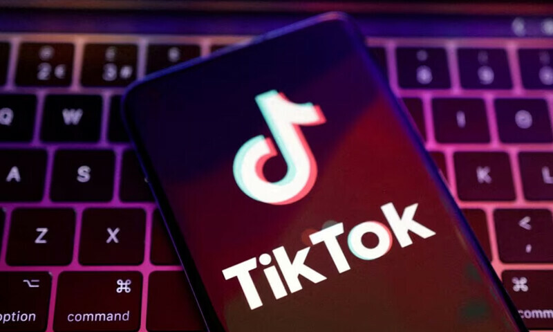 Vietnam to conduct &lsquo;comprehensive inspection&rsquo; of TikTok over harmful content