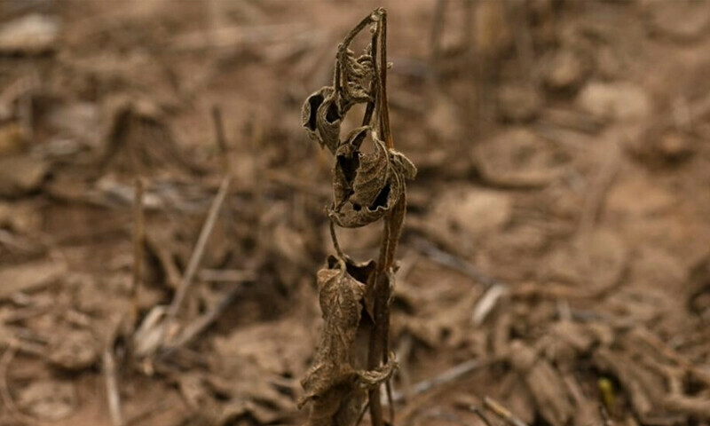 Historic drought adds to Argentina&rsquo;s economic woes