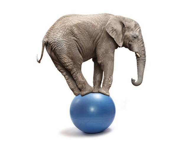 Let us forget about Pakistan&rsquo;s economy today until tomorrow